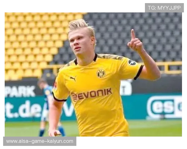 哈兰德恐将清洗大牌，夏窗或成牺牲品